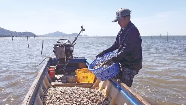 Ứng dụng kỹ thuật mới trong nuôi trồng thủy sản giúp đem lại hiệu quả kinh tế cao cho nông dân Tô Châu (An Giang).