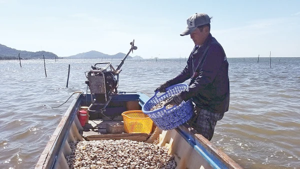 Ứng dụng kỹ thuật mới trong nuôi trồng thủy sản giúp đem lại hiệu quả kinh tế cao cho nông dân Tô Châu (An Giang).