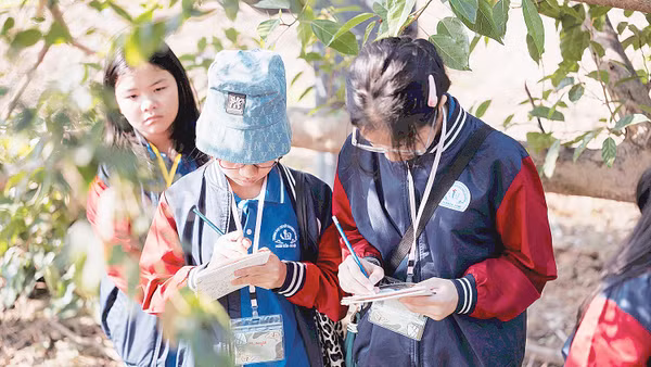 Các em học sinh ghi chép lại những điều quan sát được để cùng hiểu thiên nhiên hơn. Ảnh: Think Playgrounds