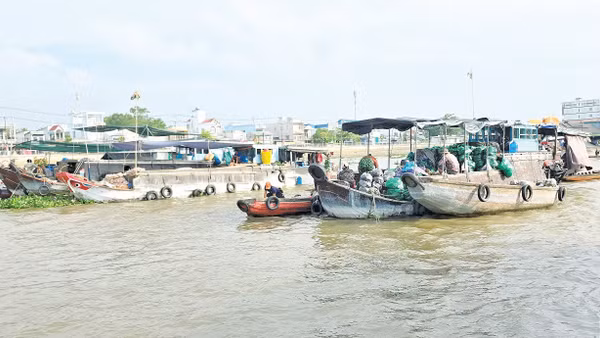 Chợ nổi Cái Răng bắt đầu họp từ 5h đến 9h sáng hằng ngày.