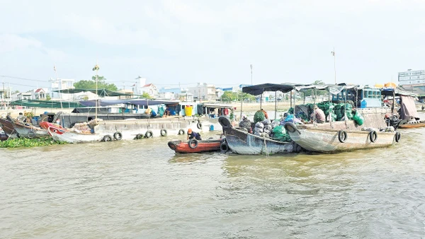 Chợ nổi Cái Răng bắt đầu họp từ 5h đến 9h sáng hằng ngày.