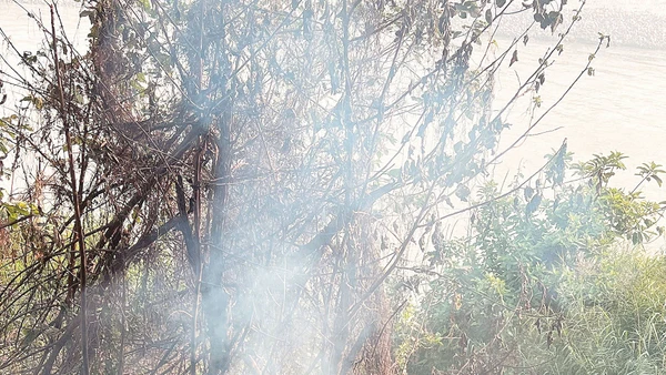 Các loại rác thải cồng kềnh bị vứt bỏ một cách tùy tiện, nhất là ở những khu vực ít người qua lại, như bờ sông...