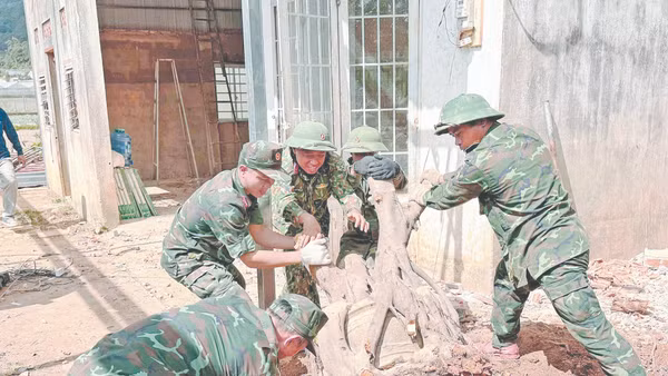 Cán bộ, chiến sĩ sửa nhà giúp dân.