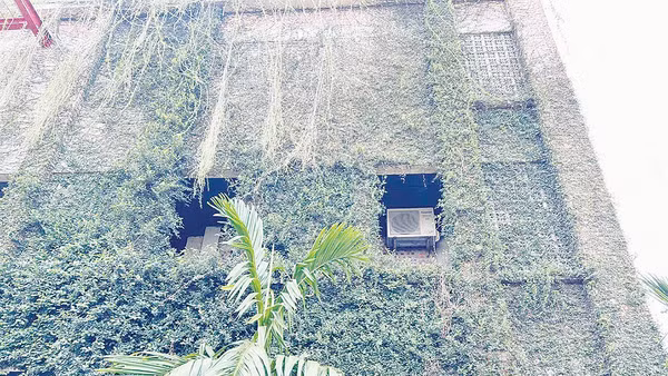 Các công trình trong nhà máy không trát, không sơn, phủ xanh bằng cây để giảm hấp thụ nhiệt.