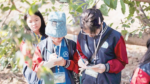 Các em học sinh ghi chép lại những điều quan sát được để cùng hiểu thiên nhiên hơn. Ảnh: Think Playgrounds