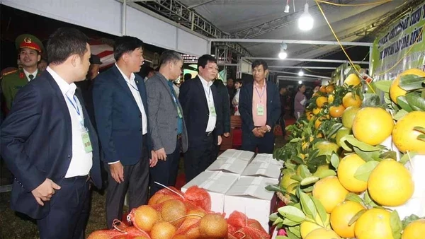 Lãnh đạo các sở, ngành và cấp ủy, chính quyền địa phương thăm quan các gian hàng tại hội chợ.