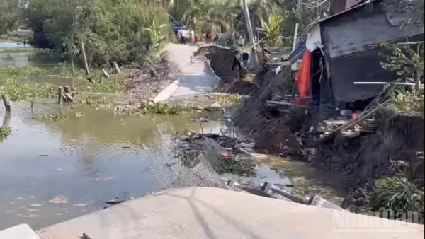 Vụ sạt lở đã gây thiệt hại về hạ tầng và đe dọa trực tiếp đến đời sống, sản xuất của hàng nghìn hộ dân trong khu vực.