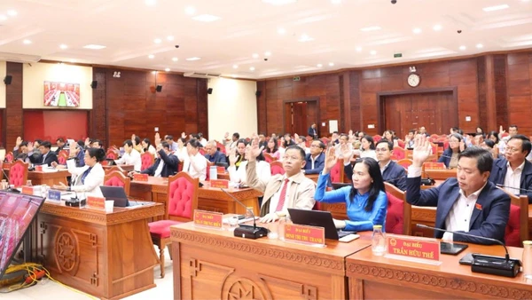 Các đại biểu Hội đồng nhân dân tỉnh Đắk Lắk biểu quyết thông qua nghị quyết.