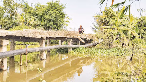 Hiện trạng cầu Quân Động (thôn 1 Đồng Hòa, xã Nam Thụy Anh, tỉnh Hưng Yên).