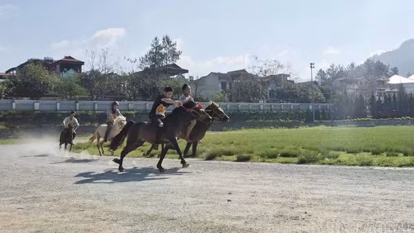 Các nài ngựa xã Bắc Hà tham gia sơ tuyển vào ngày 16/5/2026.