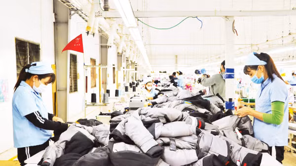 Nhiều doanh nghiệp tư nhân tích cực ứng dụng công nghệ, tạo việc làm ổn định cho người lao động. Ảnh NVCC