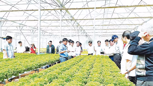 Đồng Nai tích cực ứng dụng công nghệ vào phát triển nông nghiệp.