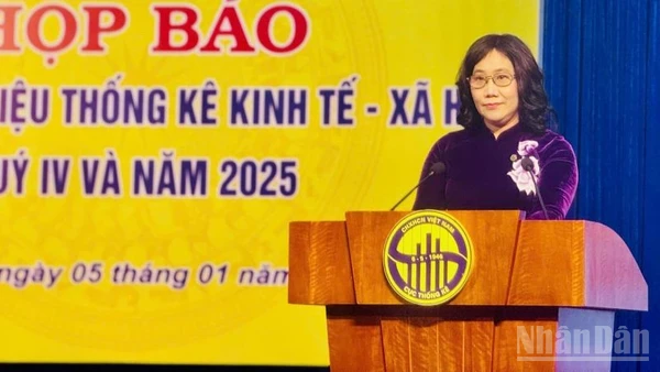 Cục trưởng Cục Thống kê Nguyễn Thị Hương. (Ảnh: HNV)