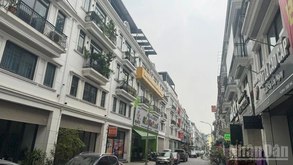 Một khu biệt thự liền kề phía đông Thủ đô. (Ảnh: HNV)