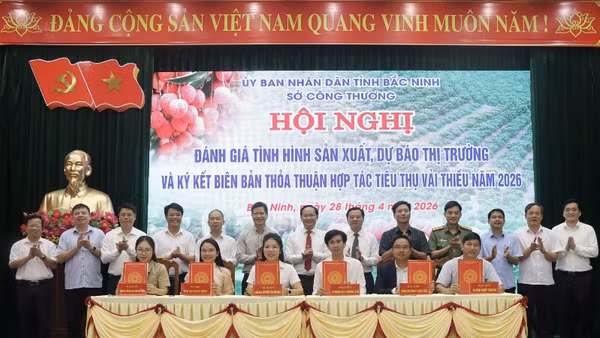 Dưới sự chứng kiến của lãnh đạo tỉnh, các đơn vị liên quan đã ký kết biên bản thỏa thuận hợp tác tiêu thụ vải năm 2026.