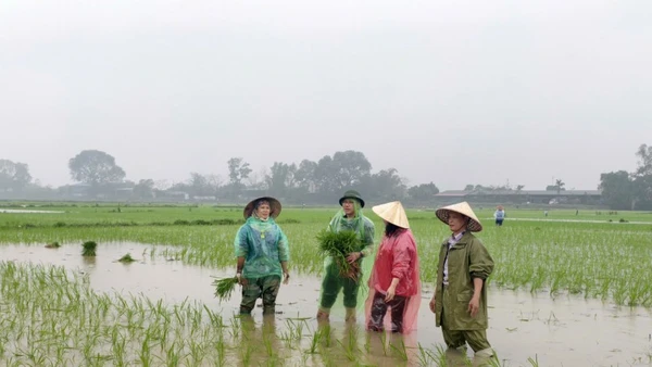 Lãnh đạo phường Tam Sơn, tỉnh Bắc Ninh, xuống đồng, động viên bà con sản xuất đầu năm.