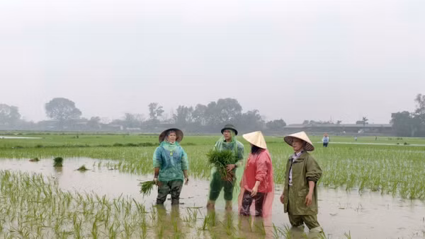 Lãnh đạo phường Tam Sơn, tỉnh Bắc Ninh, xuống đồng, động viên bà con sản xuất đầu năm.