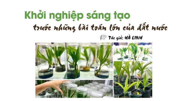Khởi nghiệp sáng tạo trước những bài toán lớn của đất nước
