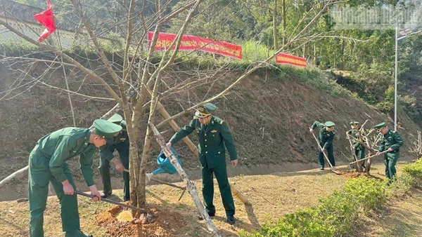 Cán bộ, chiến sĩ Đồn Biên phòng Phiêng Pằn trồng và chăm sóc cây.