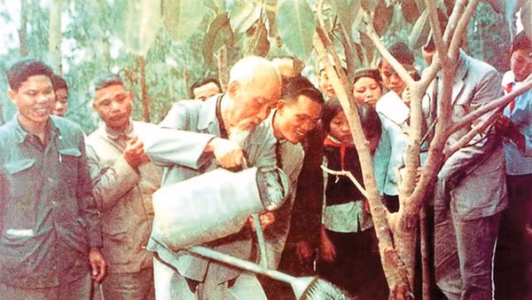 Hình Cây đa cuối cùng Bác trồng tại xã Vật Lại, Ba Vì, Hà Tây nay là Hà Nội ngày 16/2/1969 chỉ vài tháng trước khi Bác từ biệt chúng ta tới hôm nay vẫn tỏa bóng mát cho đời. (Ảnh Tư liệu)