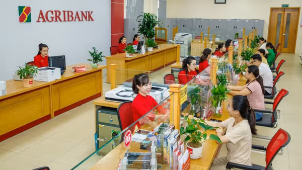 Khách hàng giao dịch tại Agribank chi nhánh Bắc Thanh Hóa.