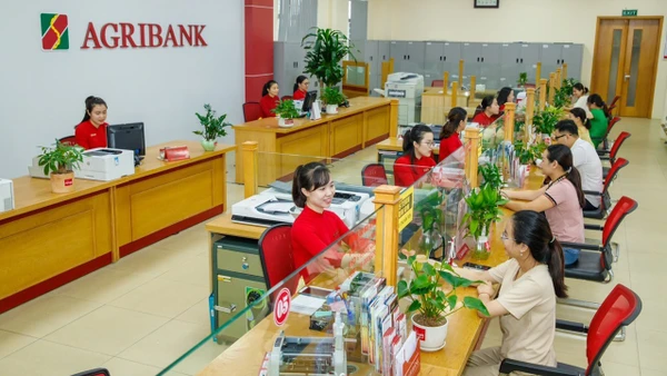 Khách hàng giao dịch tại Agribank chi nhánh Bắc Thanh Hóa.