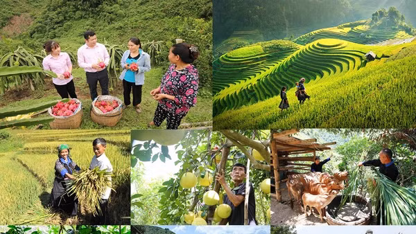 Tín dụng chính sách của Chính phủ đã giúp người nghèo và các đối tượng yếu thế tự tin, vươn lên trong cuộc sống.