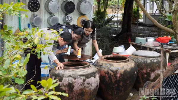 Diệt loăng quăng để phòng, chống sốt xuất huyết trên địa bàn tỉnh Đồng Tháp. (Ảnh: CAO THẮNG)