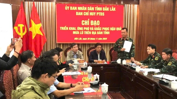 Các đại biểu dự họp.