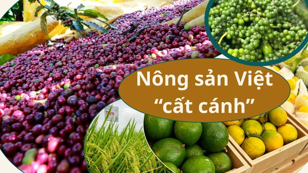 Xúc tiến thương mại-cầu nối đưa nông sản Việt “cất cánh”