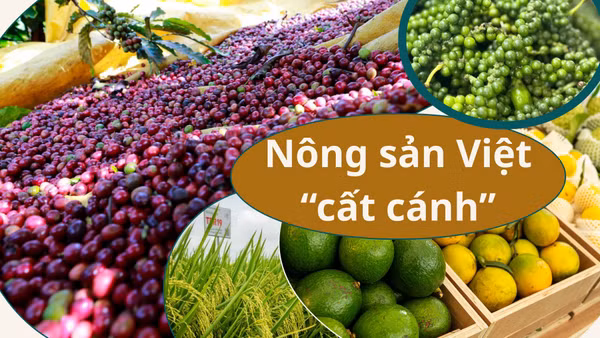 Xúc tiến thương mại-cầu nối đưa nông sản Việt “cất cánh”