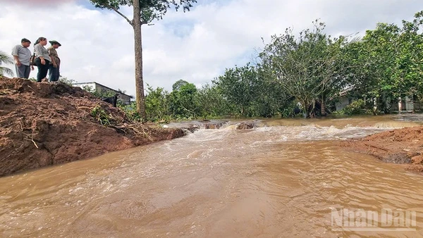 Đoạn sạt lở đê bao cồn Thanh Long sáng nay. 