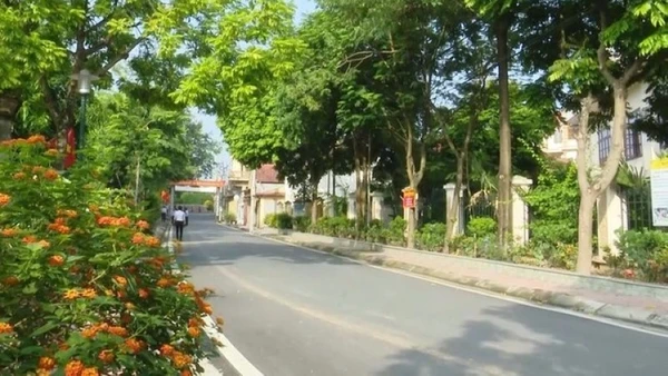 Việc thực hiện chương trình xây dựng nông thôn mới đã tạo nên cảnh quan xanh, sạch ở địa bàn xã Đan Phượng.