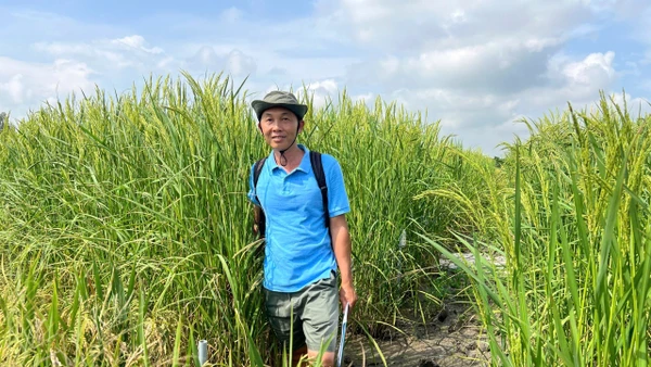 ThS Lê Thanh Phong, Phó Viện trưởng Biến đổi khí hậu, Trường đại học An Giang (Đại học Quốc gia Thành phố Hồ Chí Minh).
