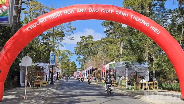 Không gian tổ chức chương trình “Hoa mai anh đào chắp cánh thương hiệu Đà Lạt”.