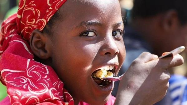 Một bữa ăn no, ở đâu đó, cũng đã là cả một giấc mơ.