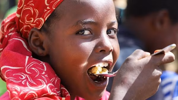 Một bữa ăn no, ở đâu đó, cũng đã là cả một giấc mơ.