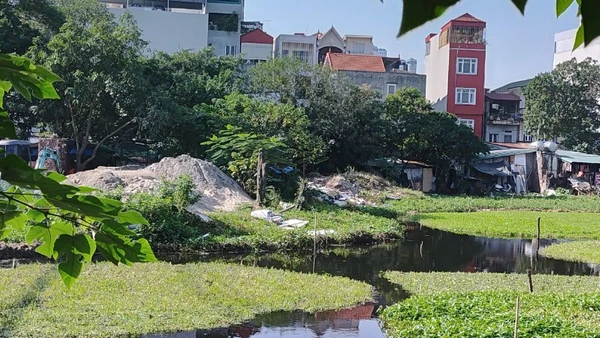 Ao Hoàng Giáp trong ngõ 99 Định Công Hạ (phường Định Công, Hà Nội) bị lấn chiếm, dựng nhà tạm và tập kết vật liệu xây dựng. (Ảnh VĂN HỌC)