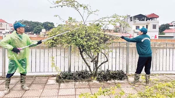 Các thành viên Câu lạc bộ “Chung tay vì sức khỏe cộng đồng” cắt tỉa cây xanh, bảo đảm an toàn trong mùa mưa bão. 