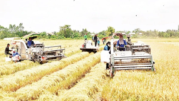 Nhìn Lại Nhiệm Kỳ “Vượt Sóng Dữ”, Tạo Dựng Nền Tảng Cho Tương Lai Nơi Cực Nam Tổ Quốc Ứng Dụng Máy Móc Thu Hoạch Lúa Trong Vụ Hè Thu 2025 Tại Xã Mỹ Thành, Tỉnh Đồng Tháp.