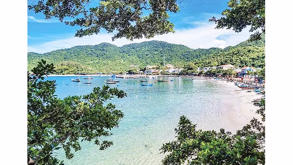 Bãi Làng - khu vực trung tâm Cù Lao Chàm. 