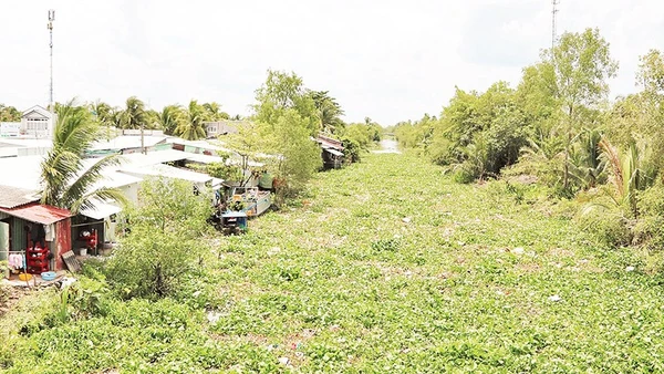 Tuyến kênh cấp 2, ấp Tư, xã Mỹ Thuận dày đặc lục bình, rác thải sinh hoạt.