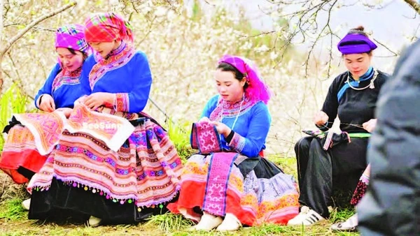 Sắc xuân đã về trên cao nguyên trắng Bắc Hà.