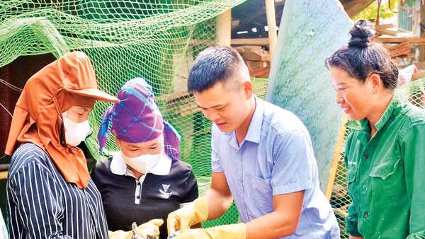Giáo viên Trung tâm hướng dẫn học viên lớp học nghề kỹ thuật chăn nuôi và phòng trị bệnh cho gia cầm tại bản Huổi Phúc, xã Thanh Yên cách tiêm thuốc trị bệnh cúm trên gia cầm.