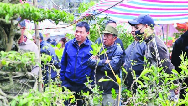 Người dân nhiều địa phương về chợ Viềng mua bán cây cảnh dịp đầu năm.