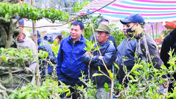 Người dân nhiều địa phương về chợ Viềng mua bán cây cảnh dịp đầu năm.