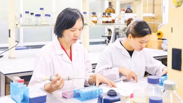 Nghiên cứu chiết xuất hoạt chất vitexin từ vỏ đỗ xanh góp phần tăng hiệu quả điều trị tiểu đường. (Ảnh: MINH ĐỨC)