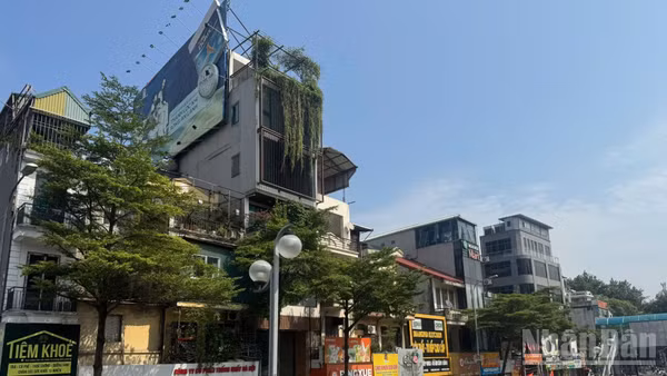Khoảng 59% mong muốn tối ưu lợi suất cho thuê, trong khi chỉ 23% đặt kỳ vọng lớn vào việc giá tài sản tăng. (Ảnh: HNV)