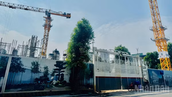 Bài toán thị trường bất động sản bây giờ nằm ở vị trí thị trường trong hệ sinh thái rộng gồm chính sách, hạ tầng, con người và dòng vốn. (Ảnh: HNV)