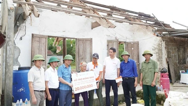 Hoạt động chung tay cùng hộ dân ở tỉnh Nghệ An khắc phục hậu quả thiên tai.